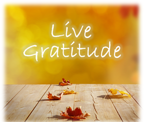 Live Gratitude